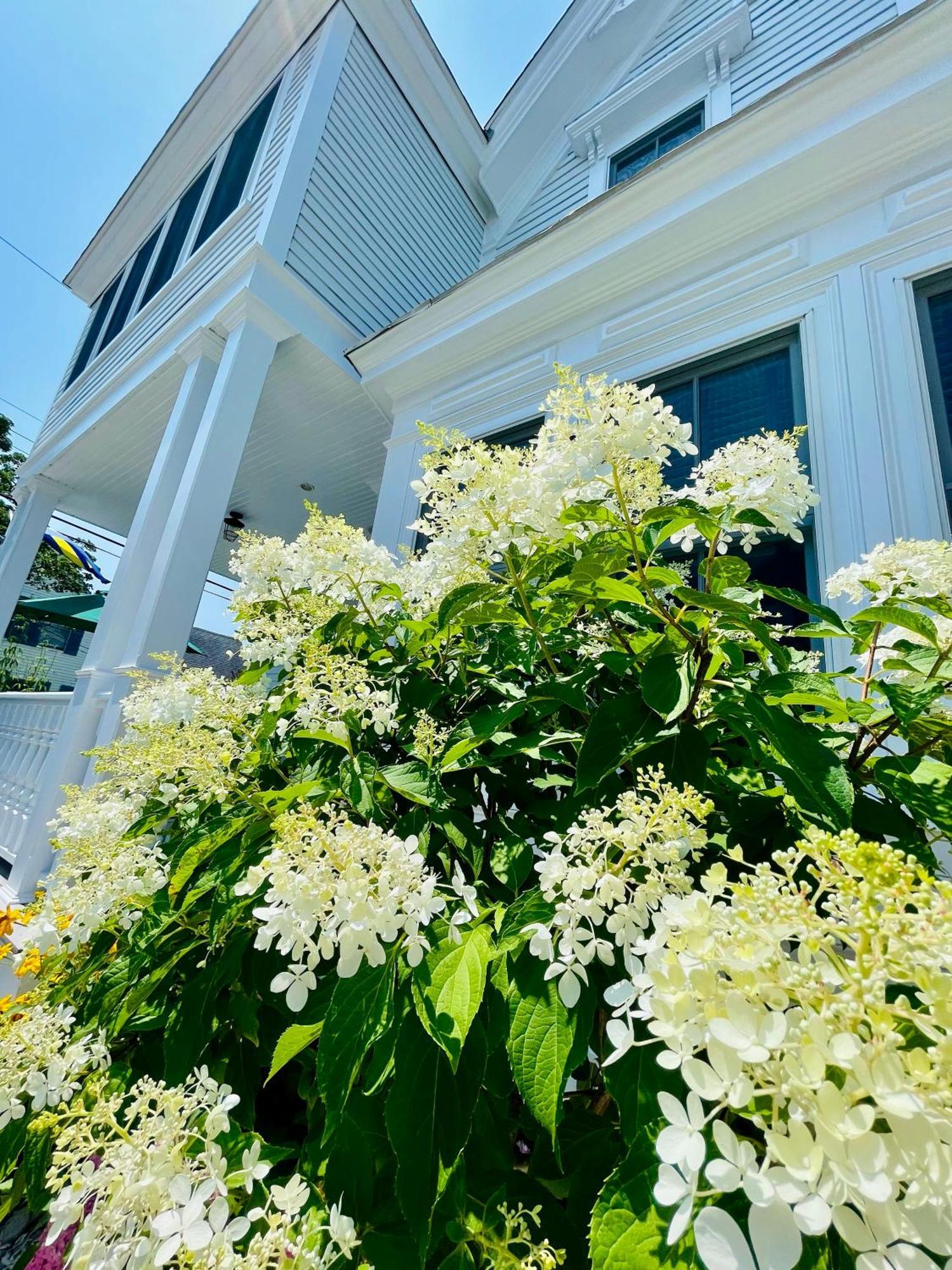 White Porch Inn โพรวินซ์ทาวน์ ภายนอก รูปภาพ